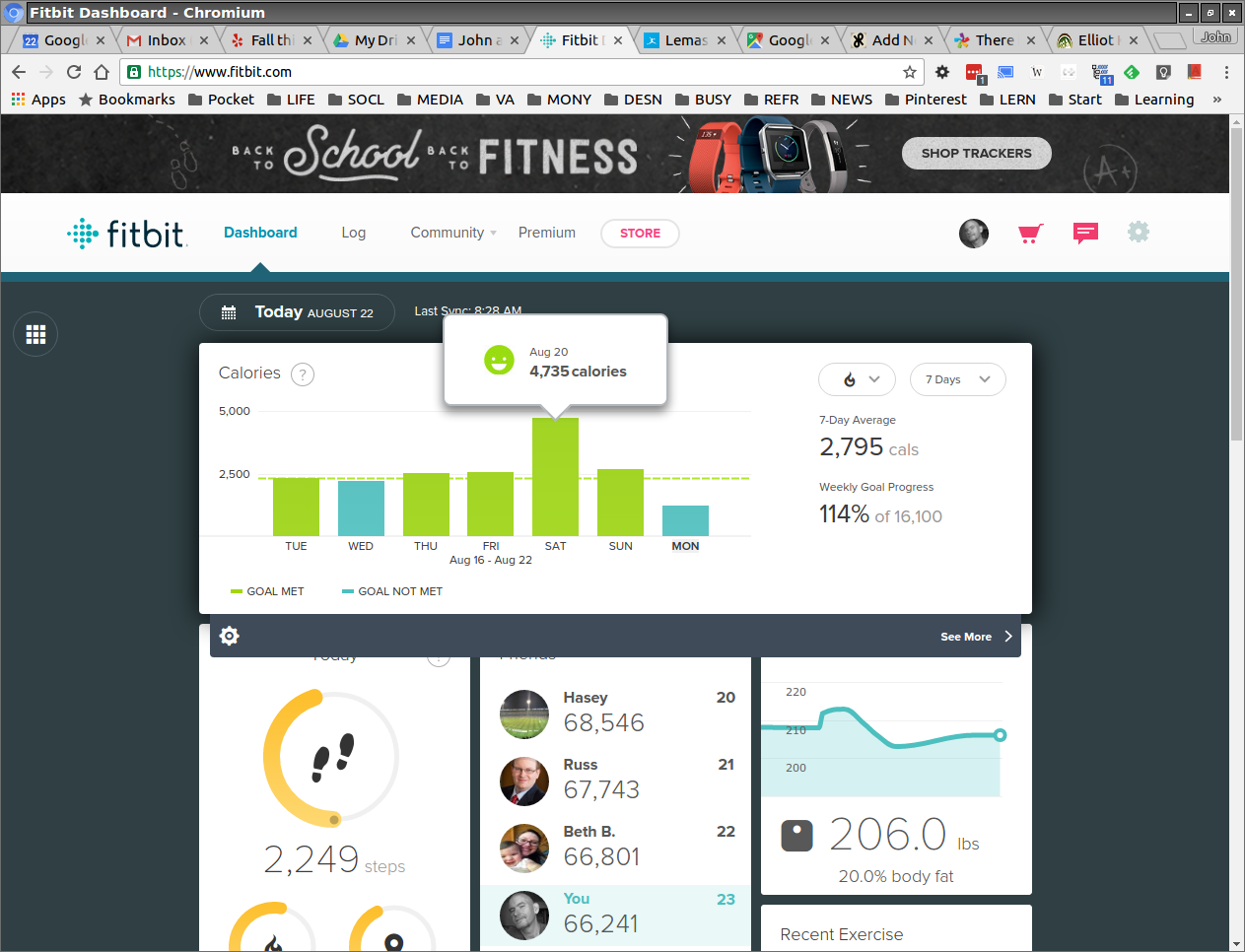 fitbit calorie counter